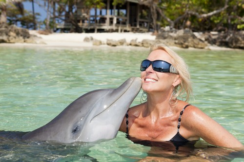Dolphin encounter kiss